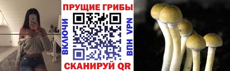 Галлюциногенные грибы мицелий  продажа наркотиков  Славск 
